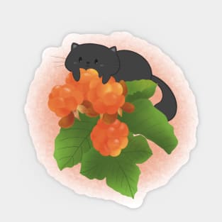 Cloudberry cat Sticker